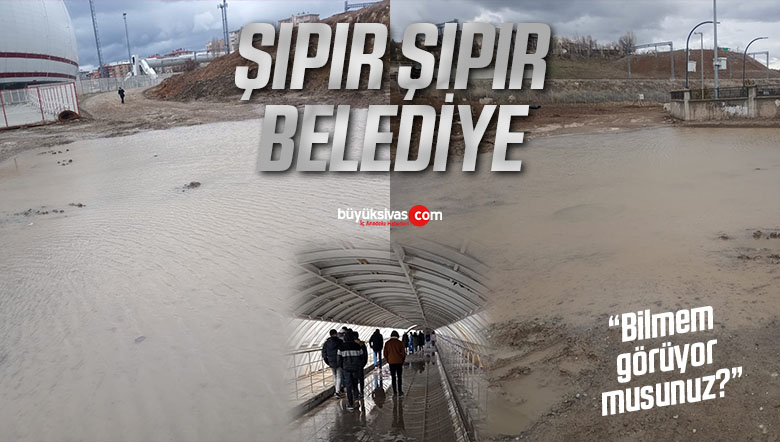 şıpır2
