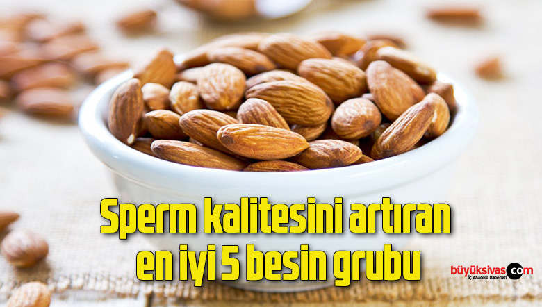 Sperm kalitesini artıran en iyi 5 besin grubu