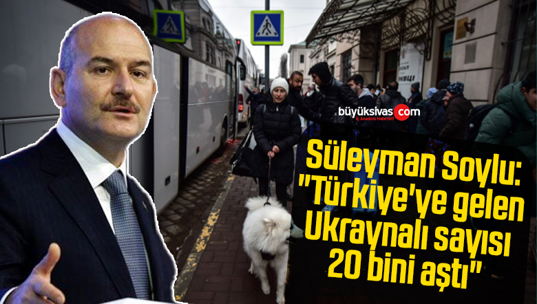 süleyman soylu