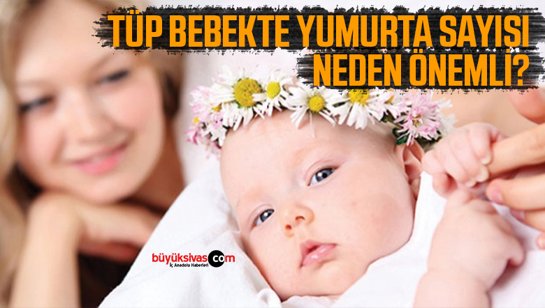 tüp bebek