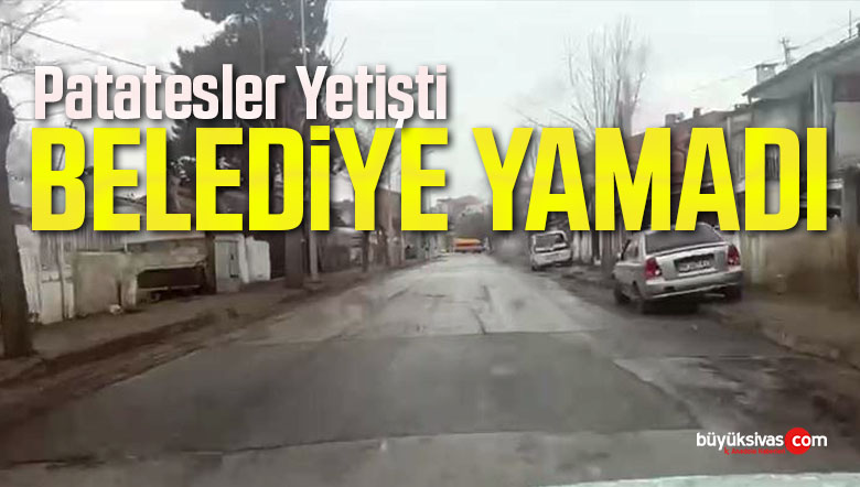 yamadı