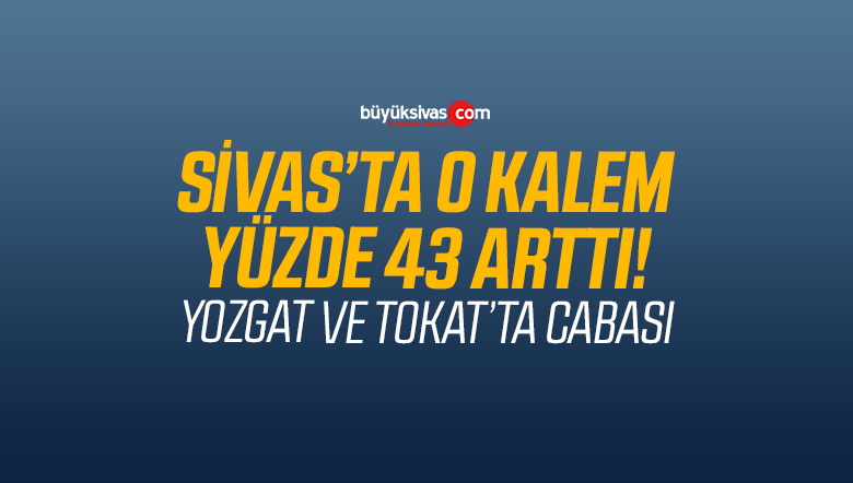 yüzde 43 arttı