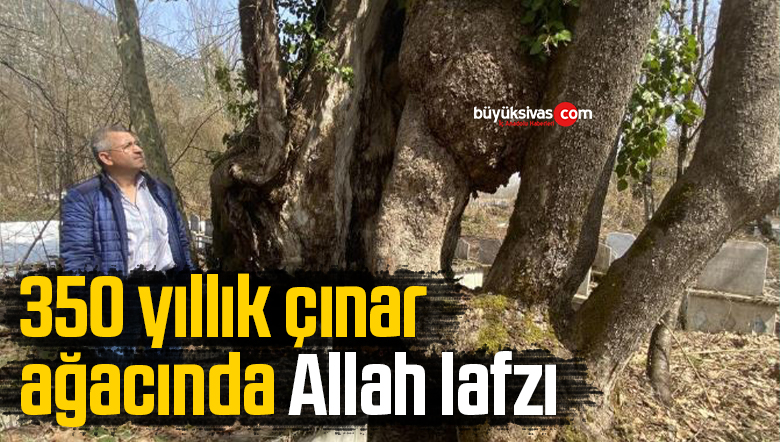Allah lafzı