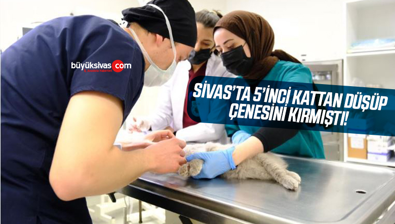 ÇENESİNİ KIRDI.