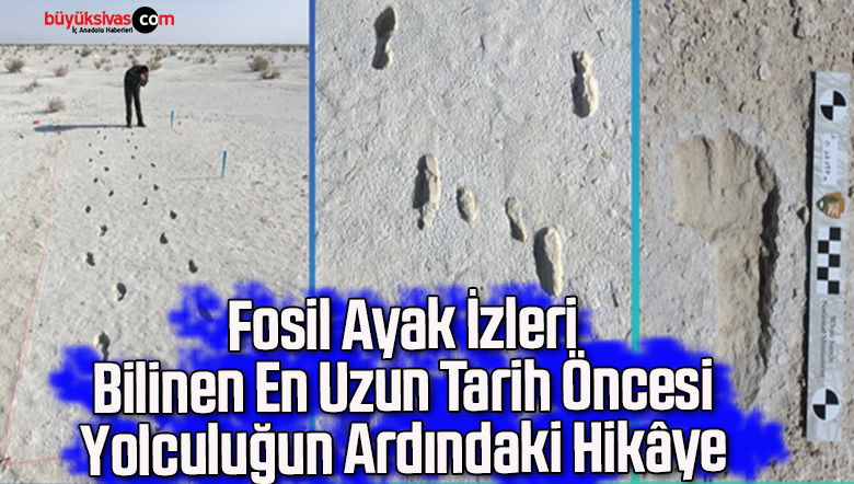 Fosil Ayak İzleri: Bilinen En Uzun Tarih Öncesi Yolculuğun Ardındaki Hikâye