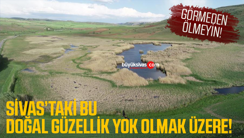 Sivas’taki Bu Güzellik Yok Olmak Üzere