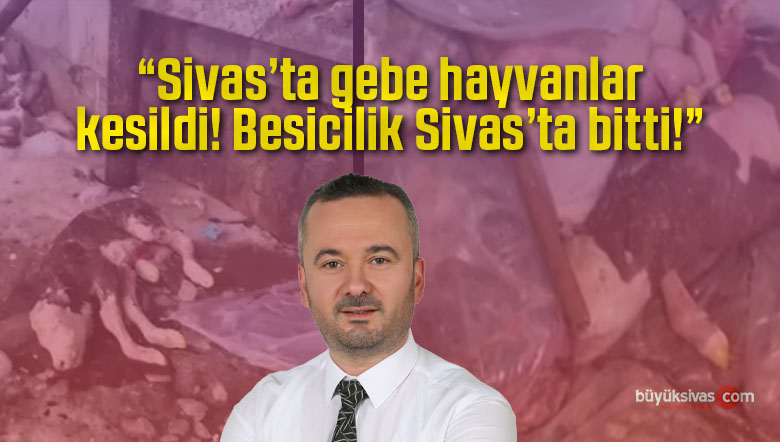 “Mezbahaneden gebe hayvanların kesildiğine dair yansıyan görüntüler”