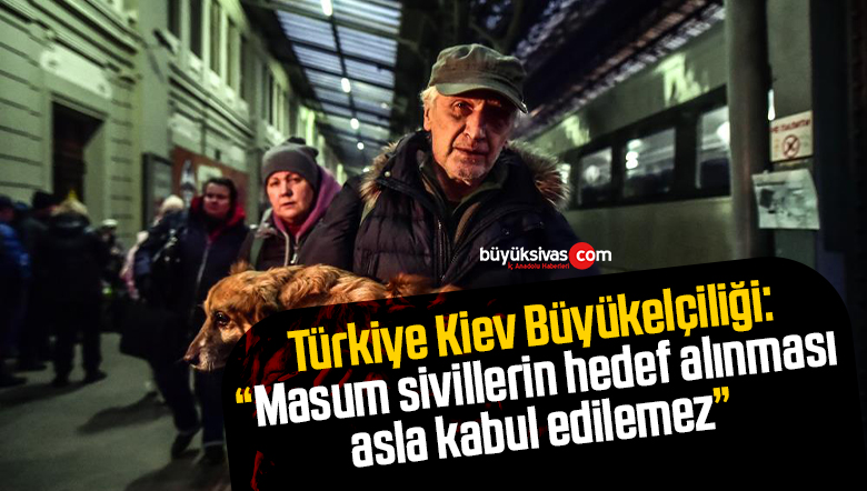 büyükeliçilik
