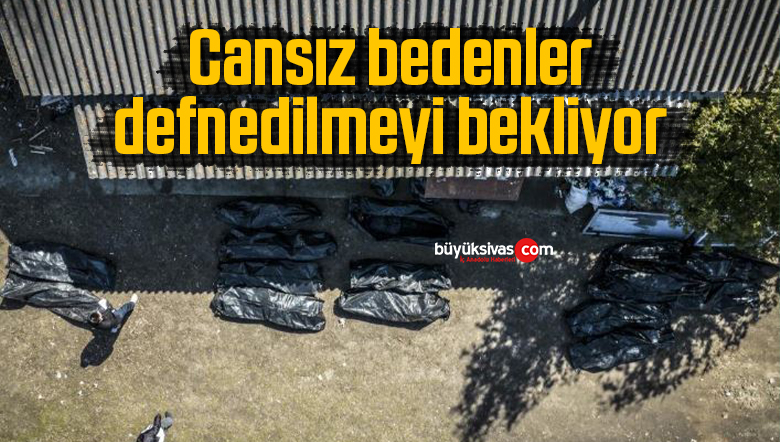 cansız bedenler