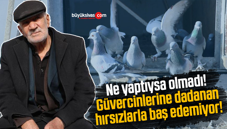 güvercinlerine dadanan hırsızlar