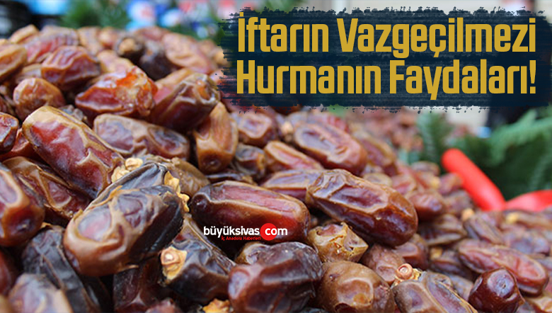 hurmanın faydaları