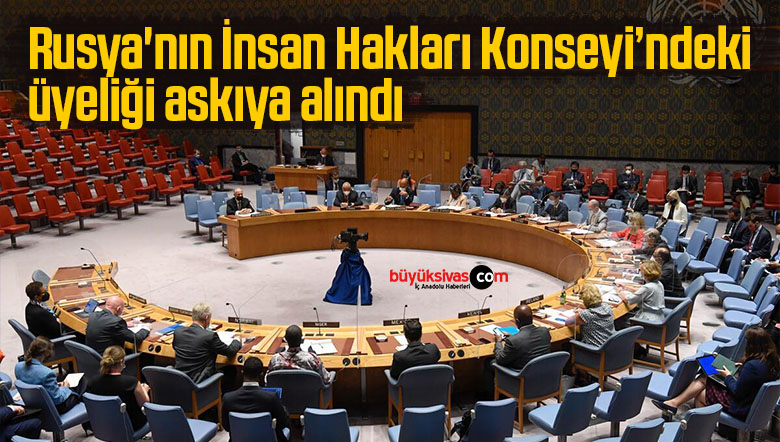insan hakları konseyi