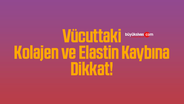 kolajen ve elastin