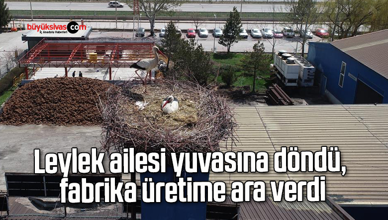 leylek