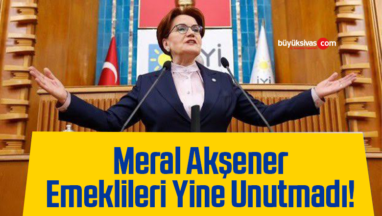 meral akşener