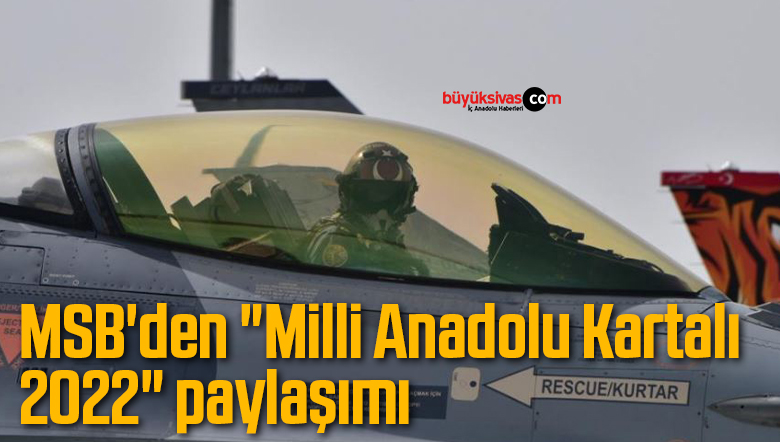 milli anadolu kartalı
