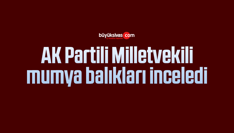 mumya balıklar