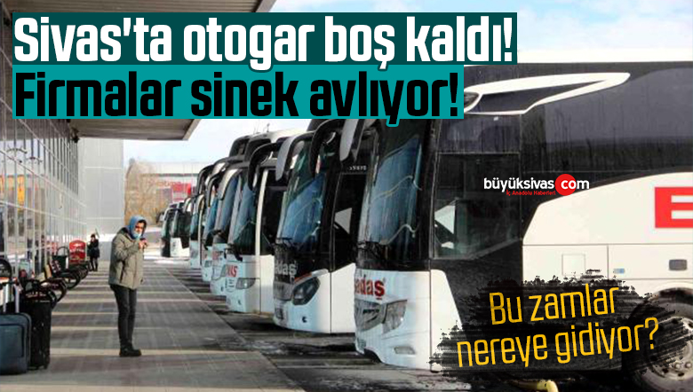 Sivas’ta otogar boş kaldı! Firmalar sinek avlıyor!