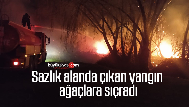 Sazlık alanda çıkan yangın ağaçlara sıçradı