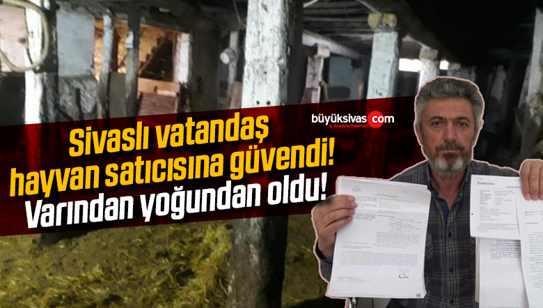 Sivas hayvan satıcısına güvendi varından yoğundan oldu