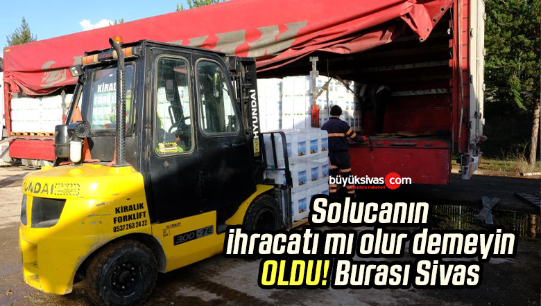 SORTAŞ Sivas’tan Solucan İhraç Etti!