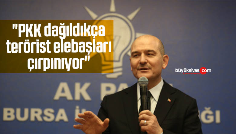 soylu