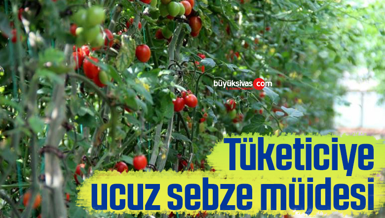 ucuz sebze