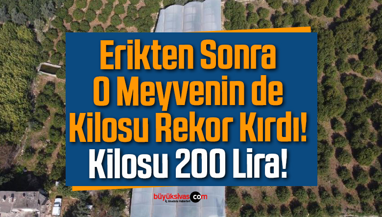 Erikten Sonra O Meyvenin de Kilosu Rekor Kırdı! Kilosu 200 Lira!