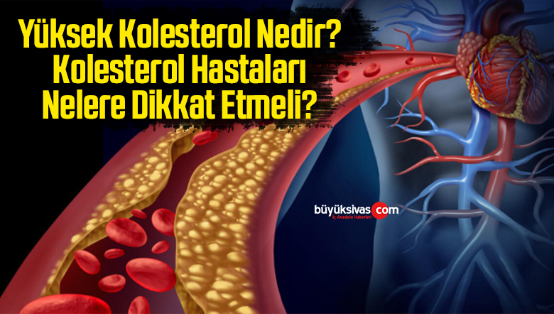 yüksek kolestrol