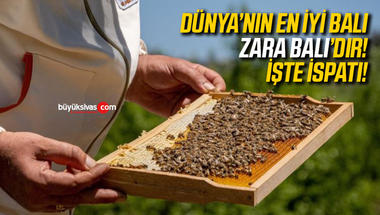 zara balı