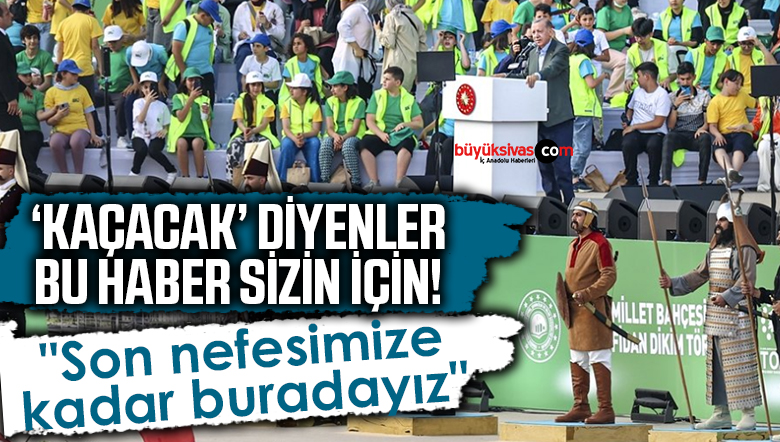 cumhurbaşkanı erdsoğan