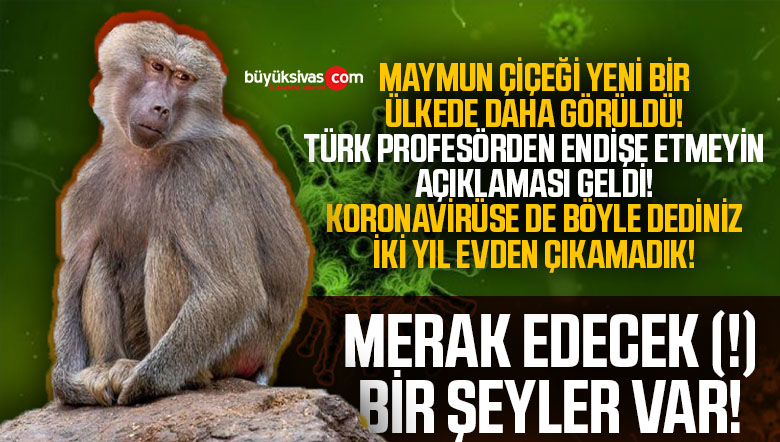 manymun çiçeği