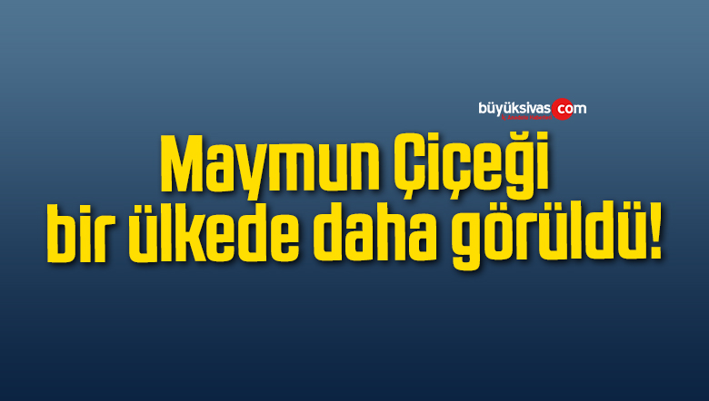 Maymun Çiçeği bir ülkede daha görüldü!