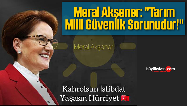meral akşener