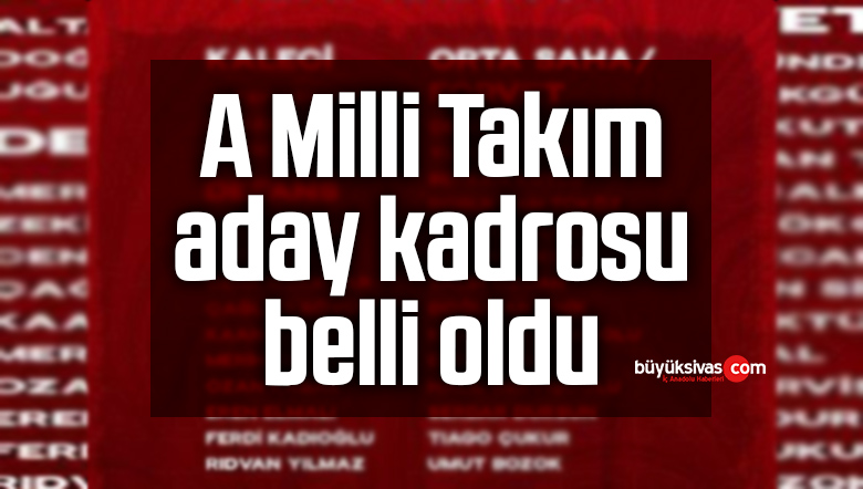 milli takım