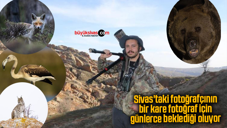 sivas'taki fotoğrafçı