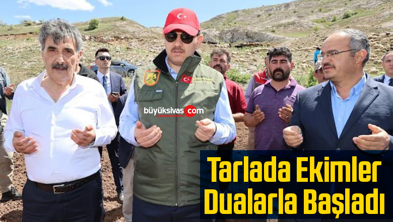 tarlada ekim