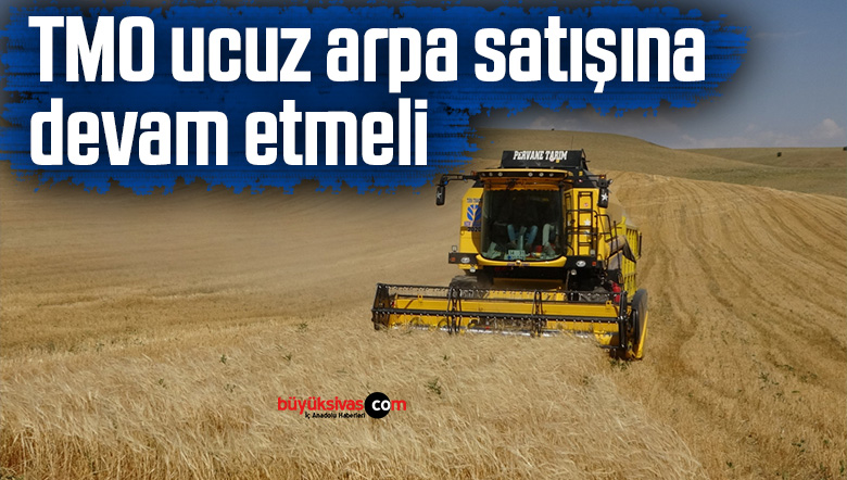 ucuz arpa