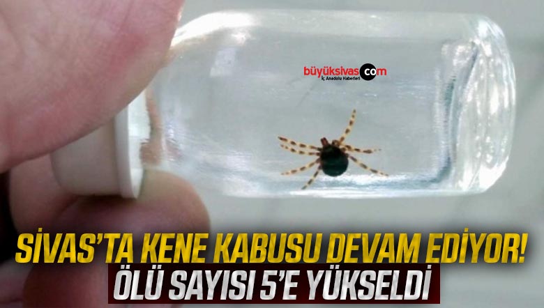 Sivas’ta keneden iki kişi daha hayatını kaybetti!