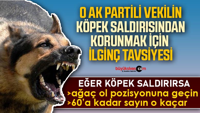 KÖPEK SALDIRISI