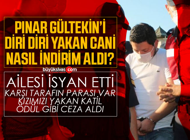 PINAR GÜLTEKİN DAVA