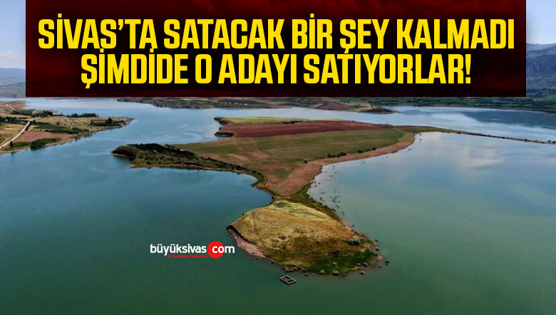 Sivas’taki milyonluk adaya müşteri çıkmadı, onlarda atayı sürüp yem bitkisi ekti