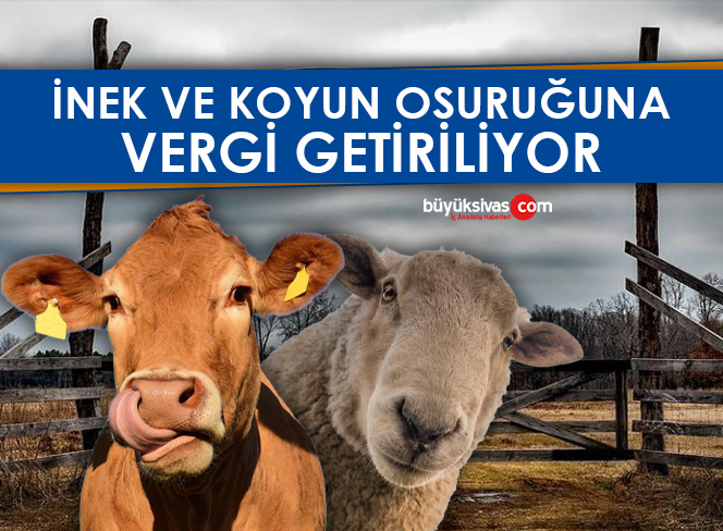 VERGİ