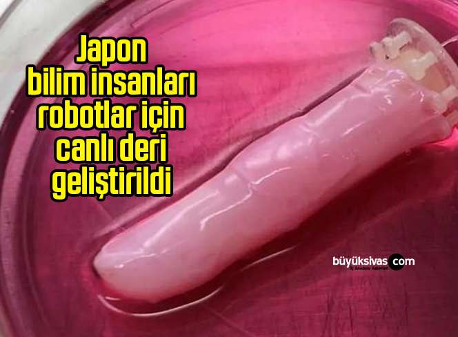 Japon bilim insanları robotlar için canlı deri geliştirildi