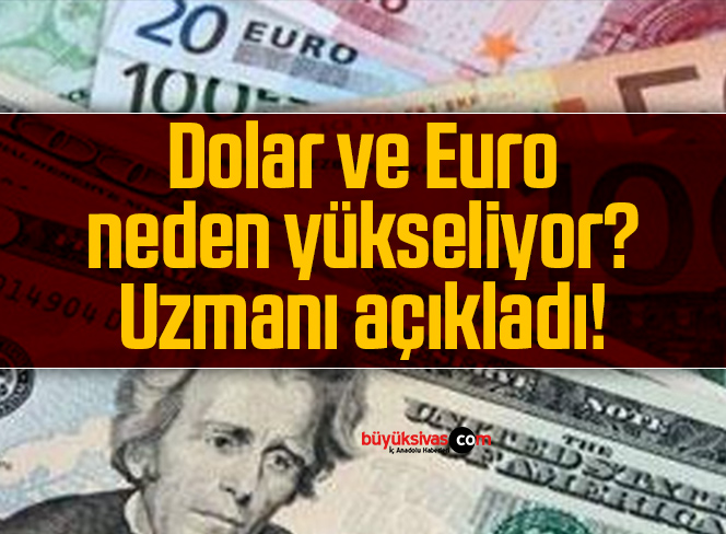 dolar euro