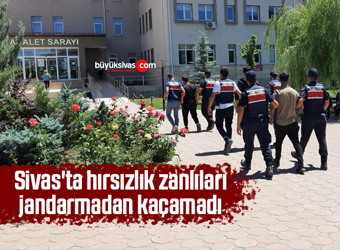 hırsızlık zanlıları