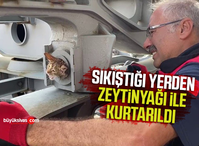 Yaramaz kedi sıkıştığı yerden zeytinyağı ile kurtarıldı