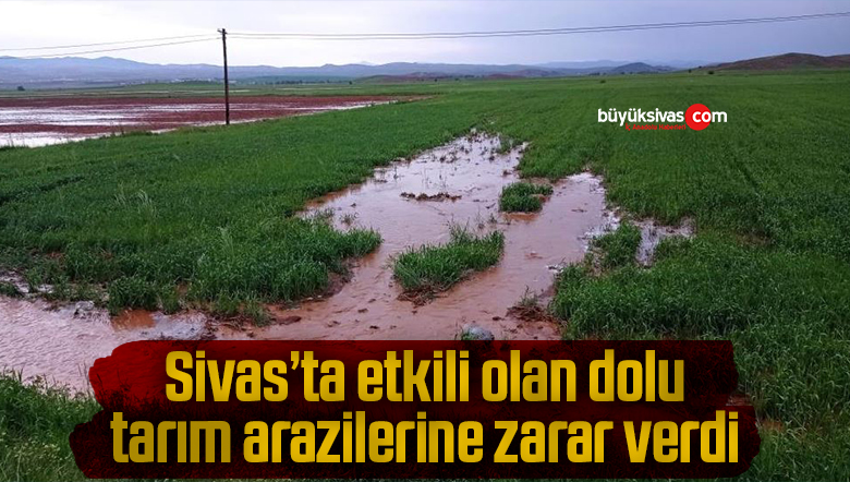 sivas dolu