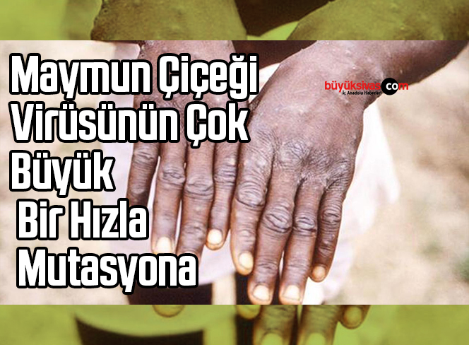 Maymun Çiçeği Virüsünün Çok Büyük Bir Hızla Mutasyona Uğradığı Keşfedildi