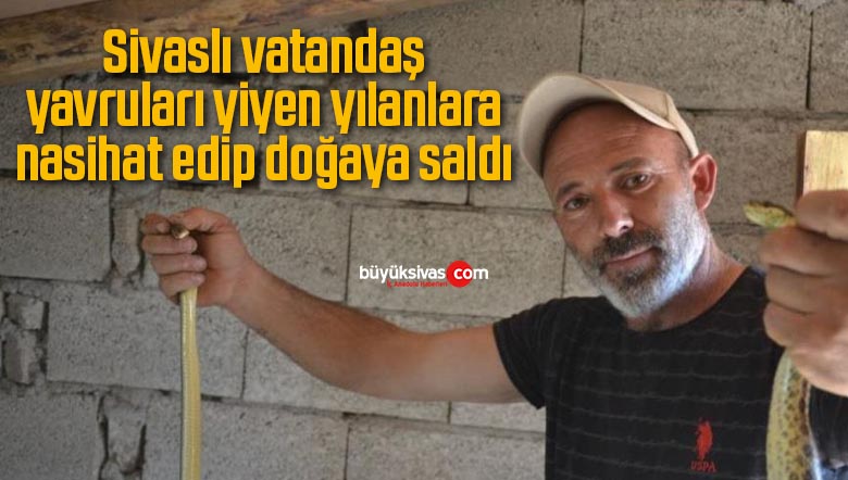 Sivaslı vatandaş yavruları yiyen yılanlara nasihat edip doğaya saldı
